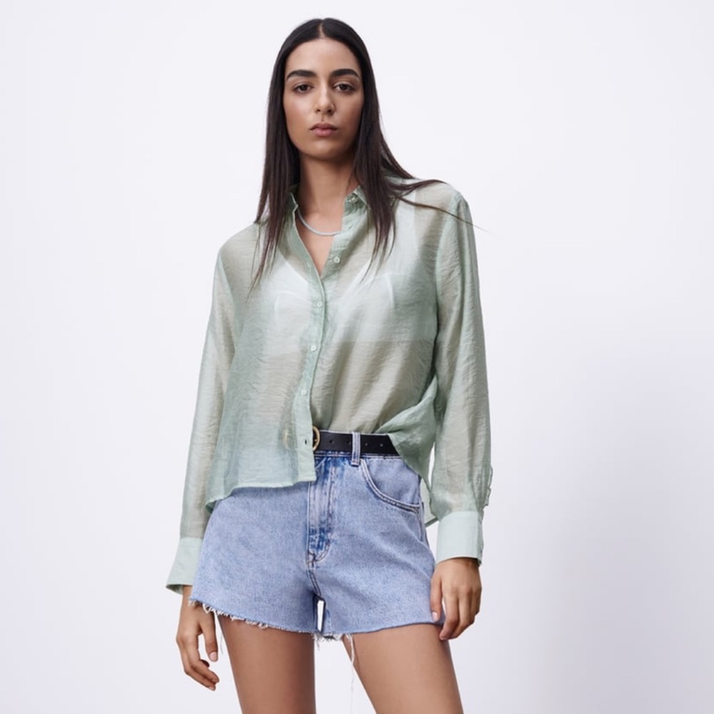 Sheer Zara Button Down Top